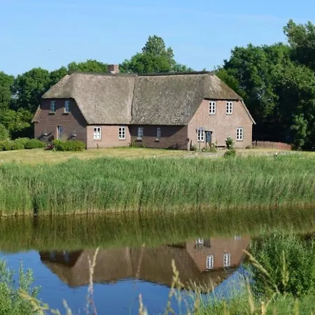 Reetdachhaus