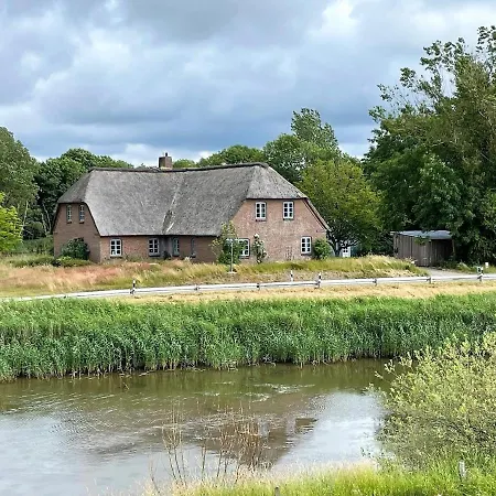 Reetdachhaus Bongsiel
