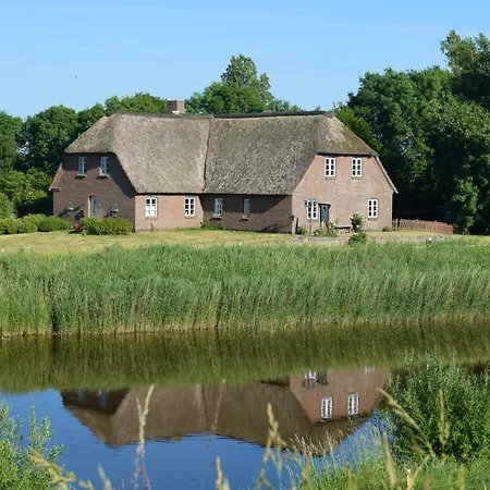 Reetdachhaus Appartement Bongsiel